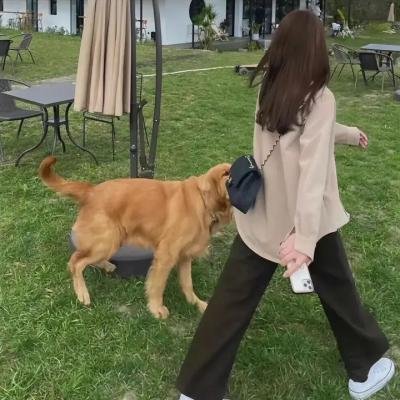舞者村社区服务计划